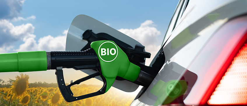 13b58576cc4058e1