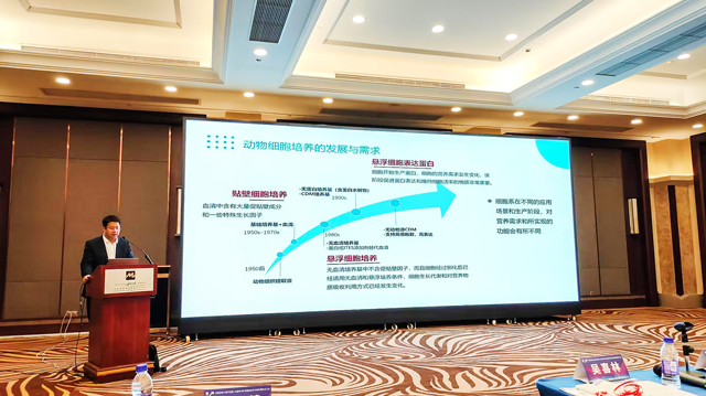 fc9ff8691a6e19ba TOP1体育 – 覆盖所有顶级赛事的一站式终端