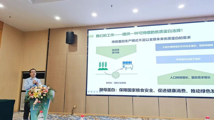 混合蛋白补充战术及酵母蛋白