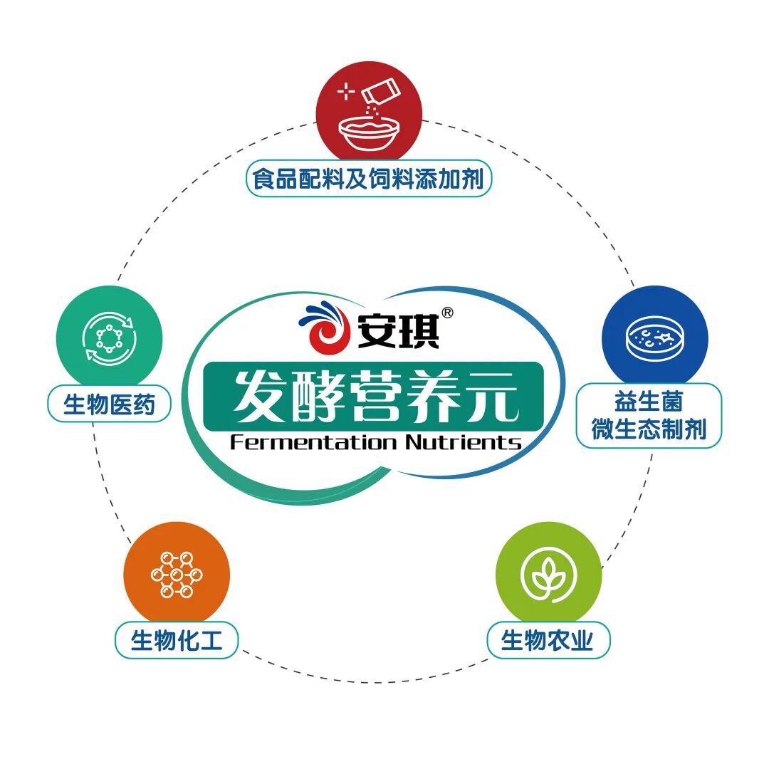 TOP1体育 – 覆盖所有顶级赛事的一站式终端