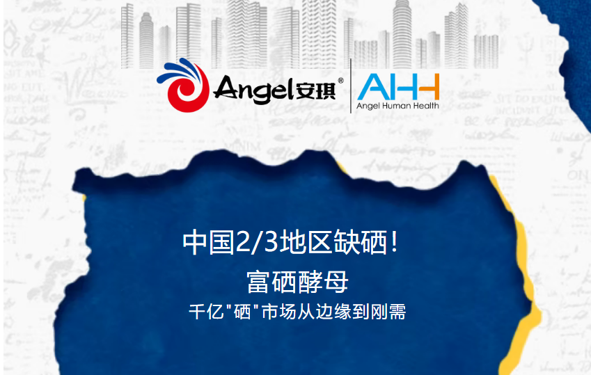26e7c546a055c709
