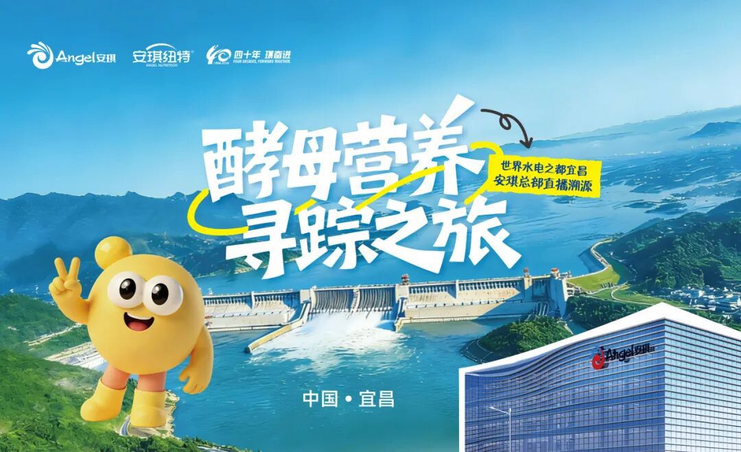 “酵母营养寻踪之旅”活动海报